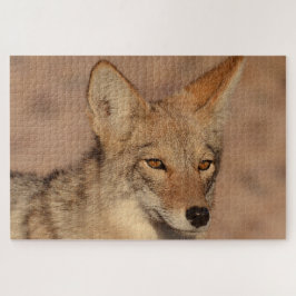Puzzle Fotografía de coyote en Nevada