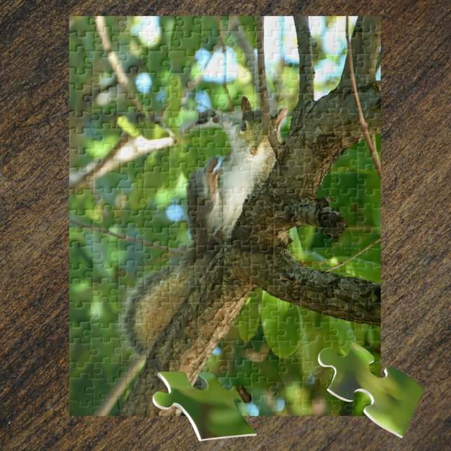 Puzzle Fotografía de Cute Slap Happy Squirrel (Subido por el creador)