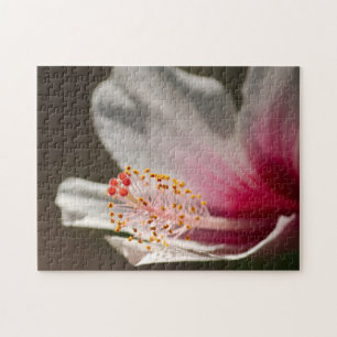 Puzzle Fotografía de Flor de Hibiscus Trópico Blanco y Ro