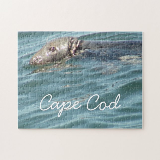 Puzzle Fotografía de foca de café de Cabo (Horizontal)