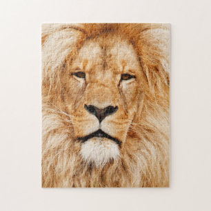 Puzzle Fotografía de Gatito Gatito Gatito Fotográfico De 