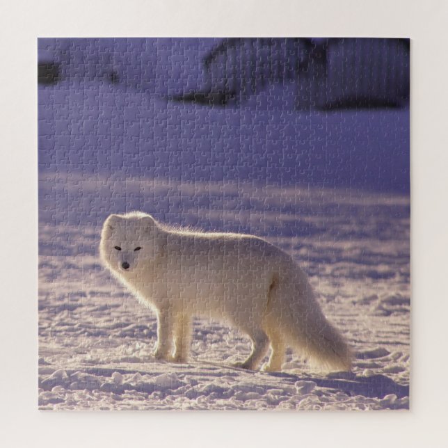 Puzzle Fotografía de invierno de la nieve de Fox blanca (Vertical)