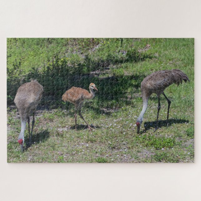 Puzzle Fotografía de la familia Sandhill Cranes de Florid (Horizontal)