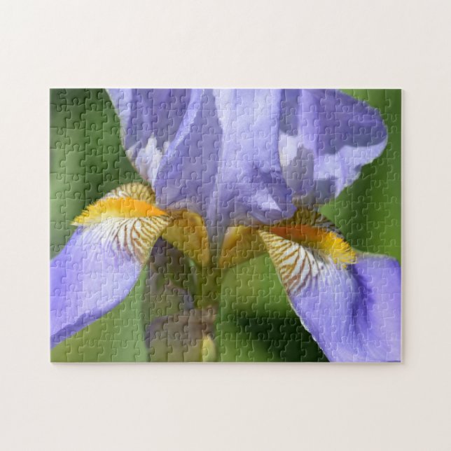 Puzzle Fotografía de la Flor de Iris Púrpura (Horizontal)