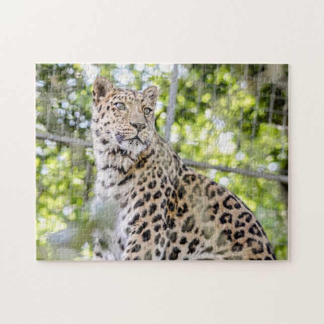 Puzzle Fotografía de la hermosa vegetación de Amur Leopar (Horizontal)