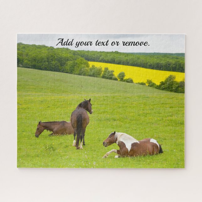 Puzzle Fotografía de la naturaleza, caballos marrones sal (Horizontal)