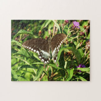 Puzzle Fotografía de la naturaleza de la mariposa de cola