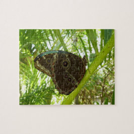 Puzzle Fotografía de la naturaleza de la mariposa Morpho 