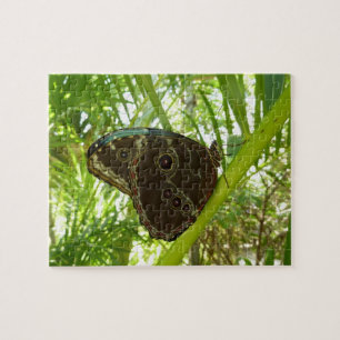 Puzzle Fotografía de la naturaleza de la mariposa Morpho