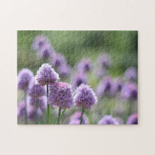 Puzzle Fotografía de la naturaleza de las flores púrpuras