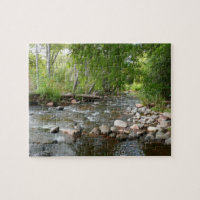 Fotografía de la naturaleza del arroyo y los pavos