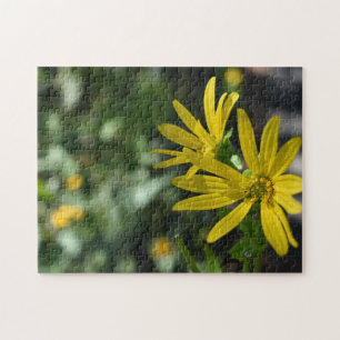 Puzzle Fotografía de la naturaleza floral de la flor de m