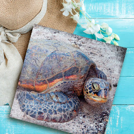 Puzzle Fotografía de la tortuga marina Hawaii Honu, elega