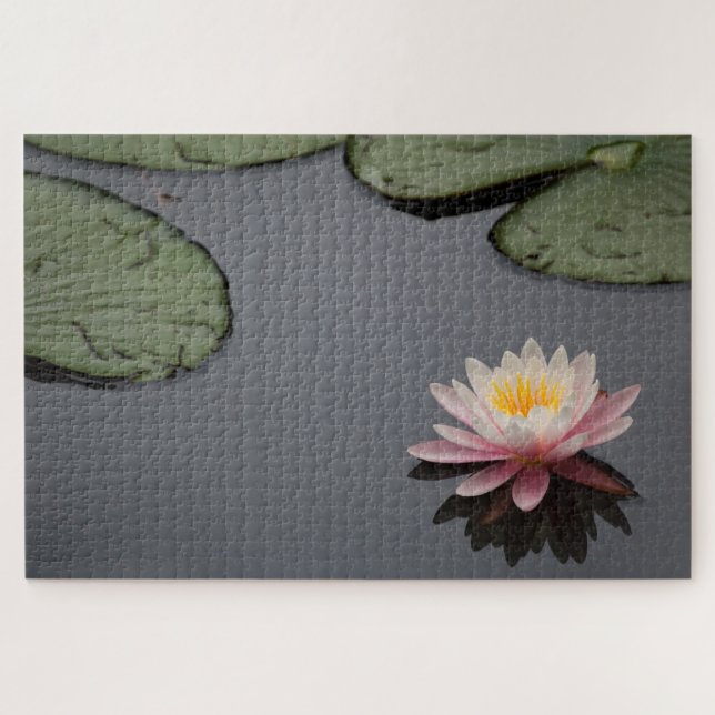 Puzzle Fotografía de Lirio de Agua Rosa (Horizontal)