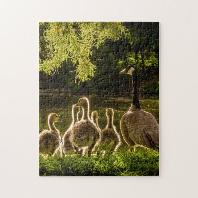 Puzzle Fotografía de madre y bebé pato animal animal anim (Vertical)