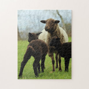 Puzzle Fotografía de madres y bebés en ovejas