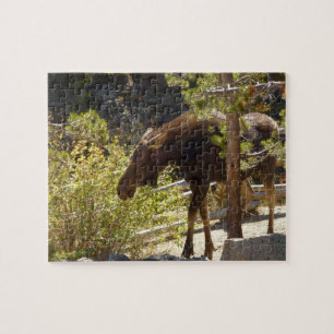 Puzzle Fotografía de naturaleza de alces de las Montañas 