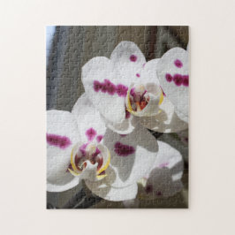 Puzzle Fotografía de orquídeas blancas y rosas localizada