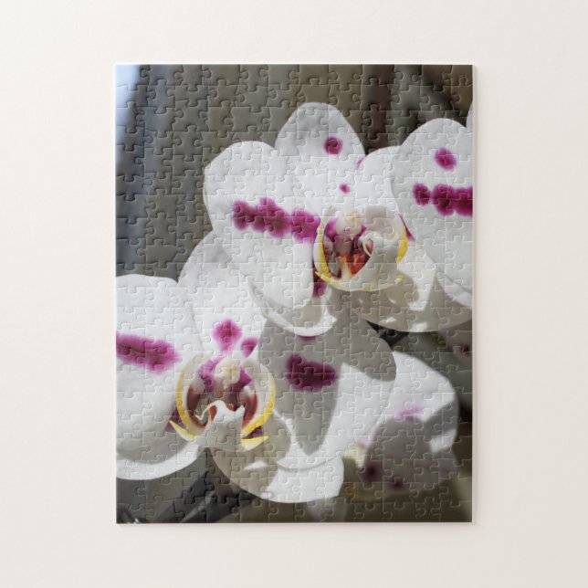 Puzzle Fotografía de orquídeas blancas y rosas localizada (Vertical)