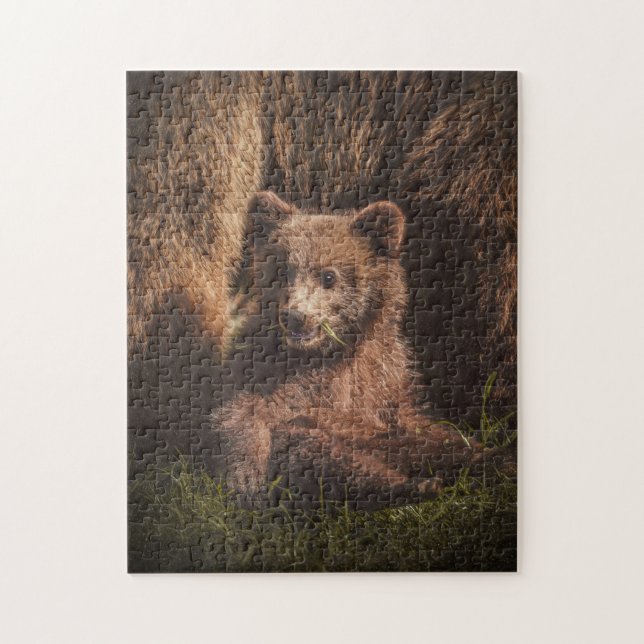 Puzzle Fotografía de Oso Animal madre y bebé (Vertical)