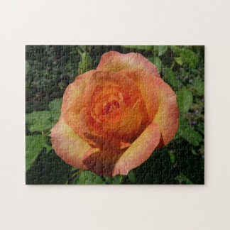 Puzzle Fotografía de Peach Rosa Naranja Floral