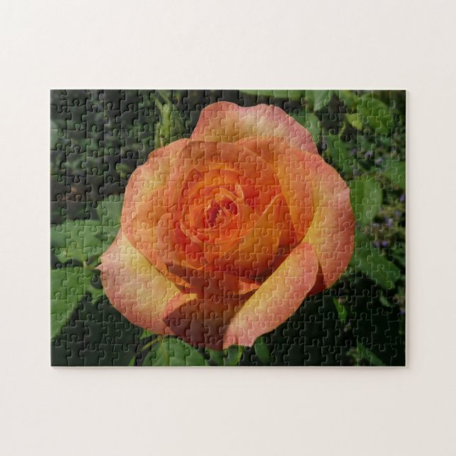 Puzzle Fotografía de Peach Rosa Naranja Floral (Horizontal)