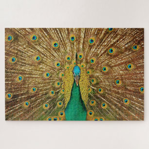 Puzzle Fotografía de Peacock