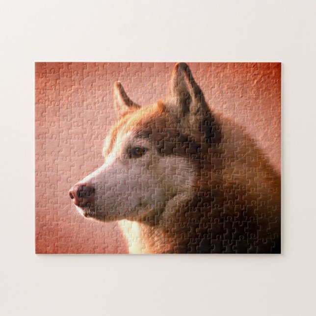 Puzzle Fotografía de perro malamute de Alaskan| Rojo (Horizontal)
