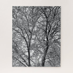 Puzzle Fotografía de ramas de árbol con nieve de invierno