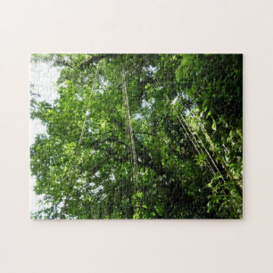 Puzzle Fotografía de selva tropical de jungle Ropes