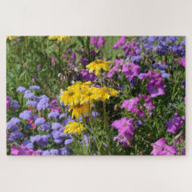 Fotografía de un montón de hermosas flores de colo