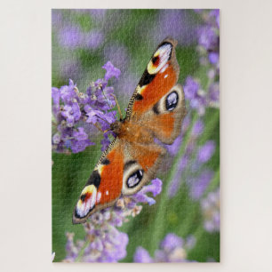 Puzzle Fotografía de una Mariposa Pavo Real en una Flor
