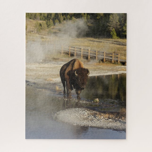 Puzzle Fotografía de vida silvestre Bison Yellowstone (Vertical)