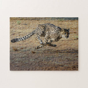 Puzzle Fotografía de Wildlife Cheetah Running