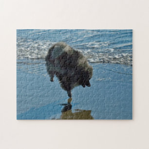 Puzzle Fotografía del Ballet Keeshond - Arte de Perro Ori