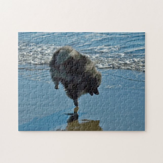 Puzzle Fotografía del Ballet Keeshond - Arte de Perro Ori (Horizontal)