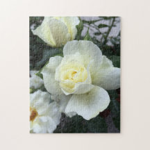 Fotografía del Jardín de Rosas Blancas