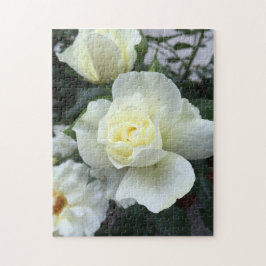 Puzzle Fotografía del Jardín de Rosas Blancas