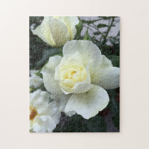 Puzzle Fotografía del Jardín de Rosas Blancas