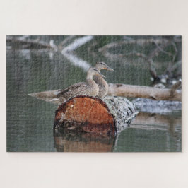 Puzzle Fotografía del pato salvaje