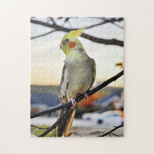 Puzzle Fotografía del perfil del Cockatiel