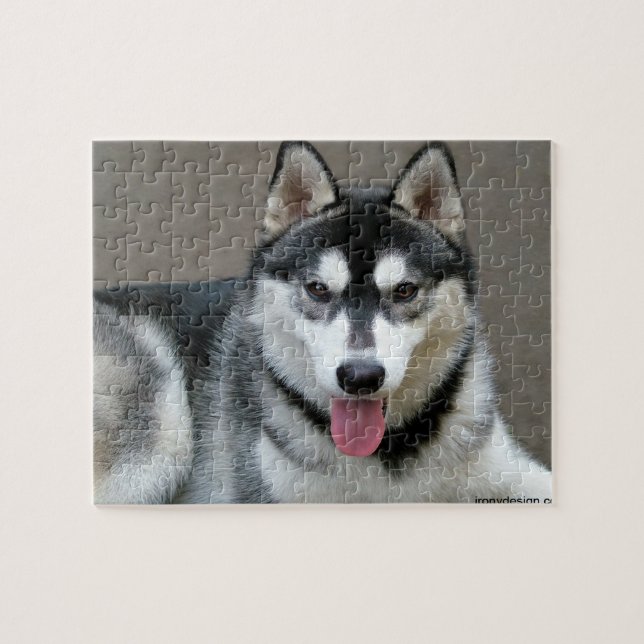 Puzzle Fotografía del perro del Malamute de Alaska (Horizontal)