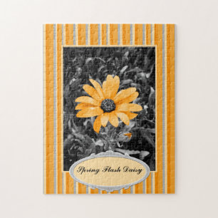 Puzzle Fotografía en color Splash Spring Flash African Da