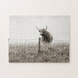 Puzzle Fotografía escocesa de la vaca