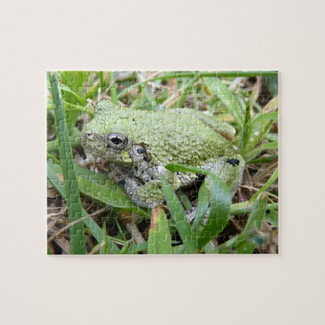 Puzzle Fotografía natural del Treefrog Gris Oriental (Horizontal)