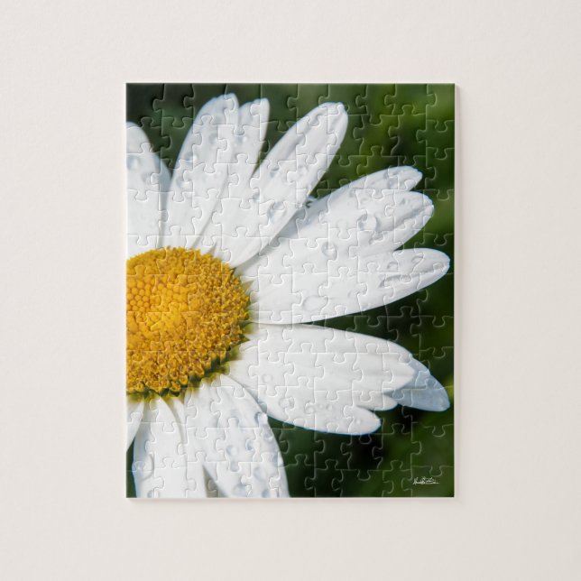 Puzzle fotografía, un margueritte, hacen verde (Vertical)