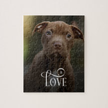 Fotomonaquigrafía de mascotas de perro personaliza