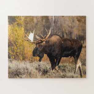 Puzzle Fotos de alces majestuosos en la naturaleza