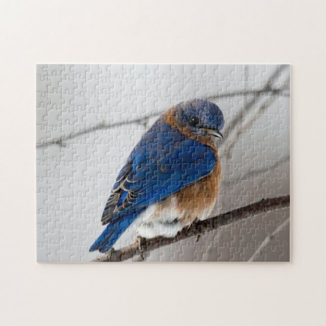 Puzzle Fotos de aves silvestres mejores: Aves rompe con p (Horizontal)