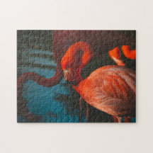 Fotos de aves silvestres mejores: Aves rompe con p